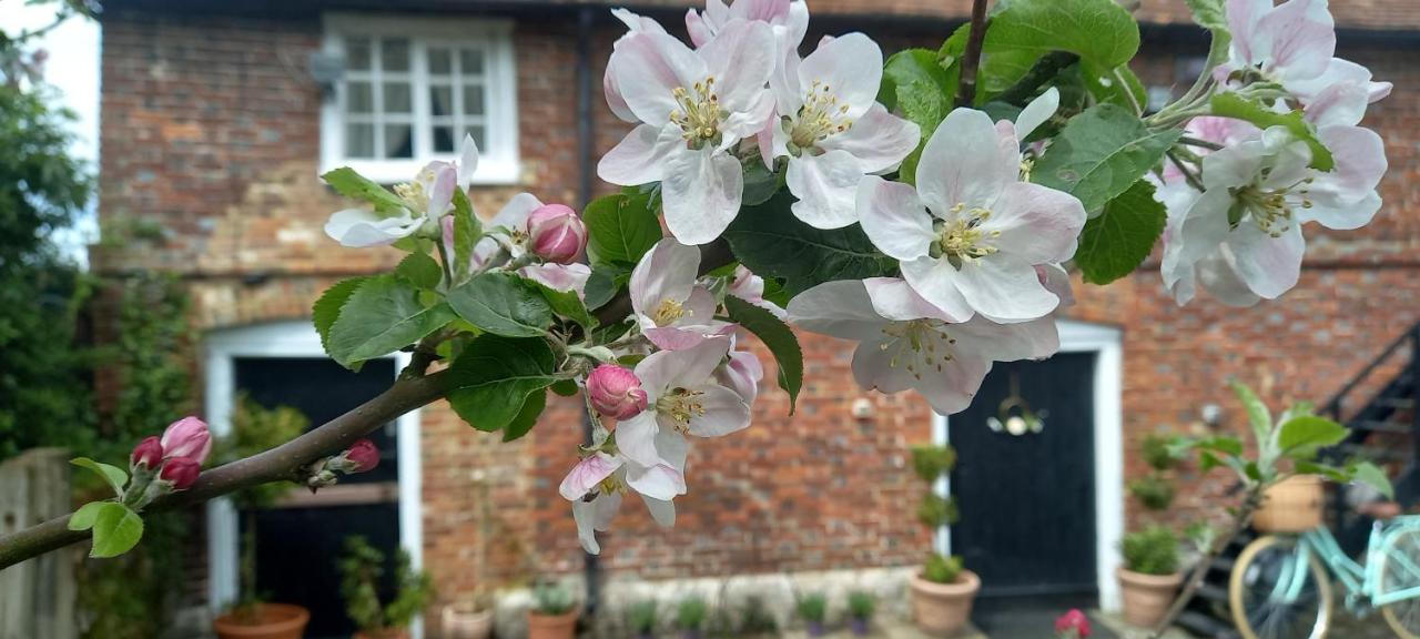 Plumpton Barn Villa Ashford  Eksteriør bilde